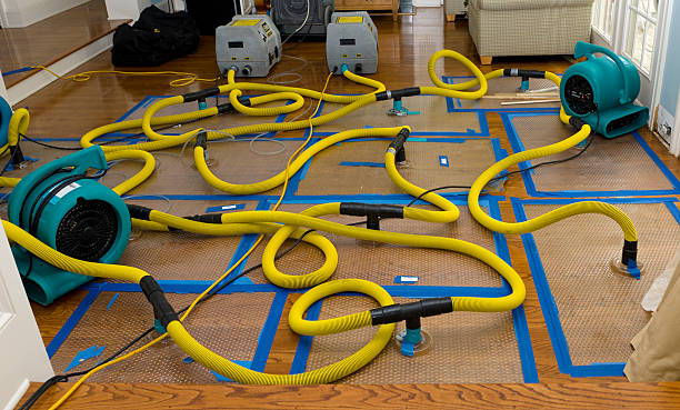 Professional Crawl Space Water Removal technician working in Bass Lake, IN